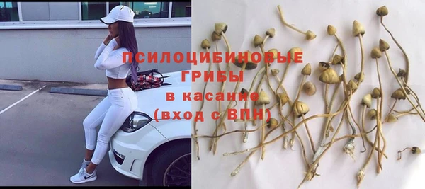 эйфоретик Белокуриха