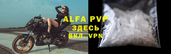 эйфоретик Белокуриха