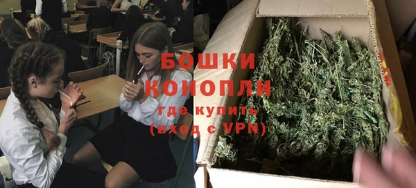эйфоретик Белокуриха