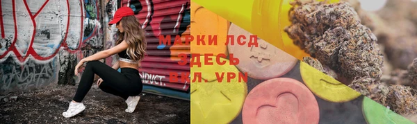 эйфоретик Белокуриха