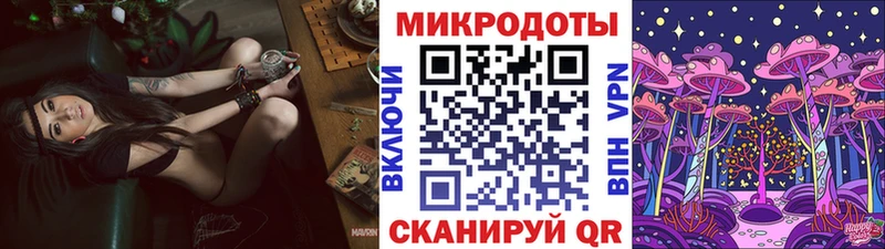 купить наркотик  блэк спрут ССЫЛКА  Псилоцибиновые грибы Psilocybe  Моздок 